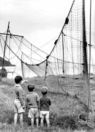 Bag nets drying on the links - c1960