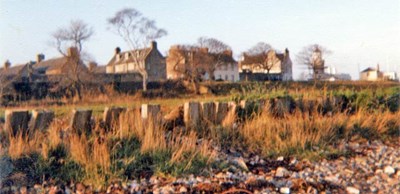 Braehead from the shore