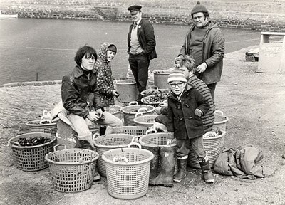Mussel Pickers at the Harbour