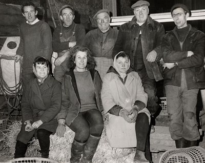 Tattie Pickers at Rosefarm