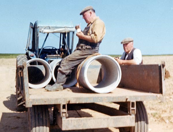 Jack and Jim Young, Rosefarm