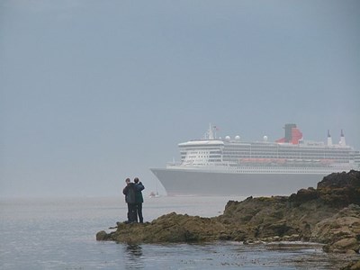 Watchers on the rocks