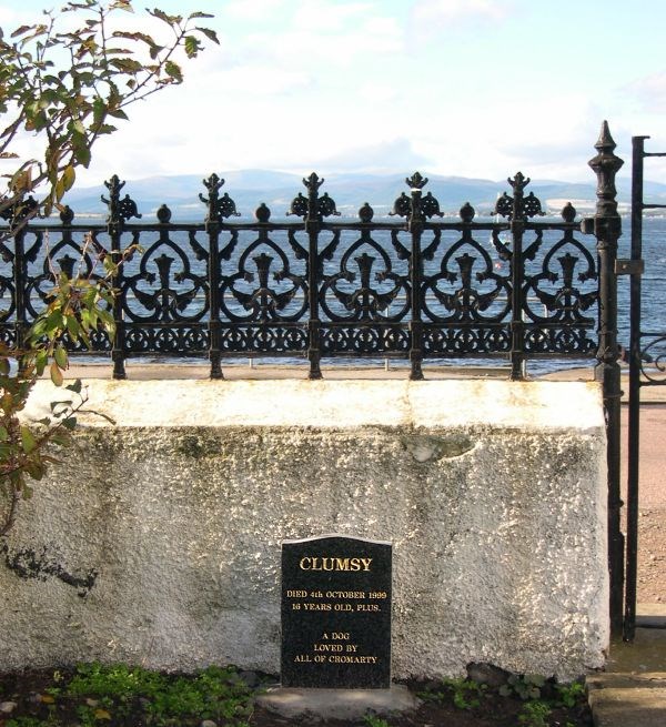 Clumsy's Grave