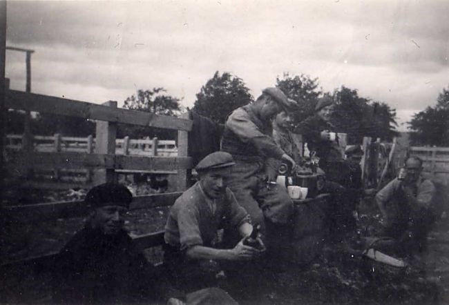 A break during shearing