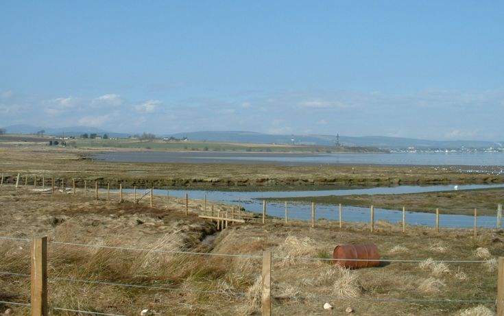Udale Bay