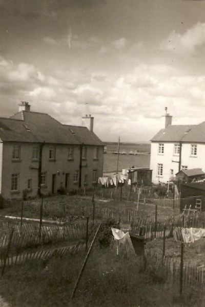 Bayview back gardens - c1971