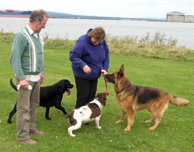 Riska, Lucy and Belle, with Donald and Linda