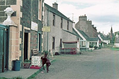 The Dunns' tearoom - 1974