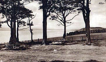 View from Mains Avenue - postcard