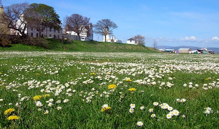 Beautiful Spring Day