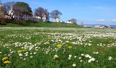 Beautiful Spring Day