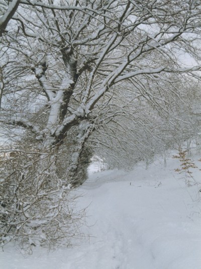 The Stroopy Road in Winter clothing.