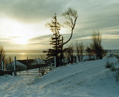 Top Forts Shortly after dawn.