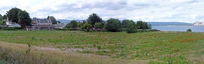 Field adjacent to The Kennels and Bowling Green - allotments anyone?