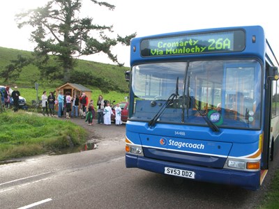 Nancy's Bus Shelter