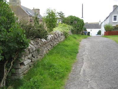 Rose Lane