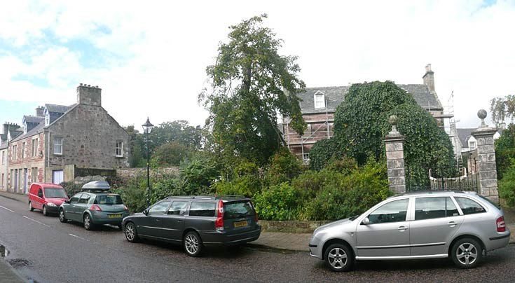 Forsyth House - Sycamore Tree removed