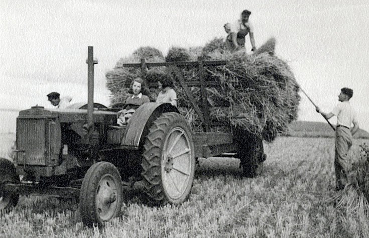 Harvest at Rosefarm in 1946