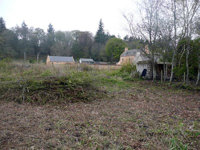 Cromarty Allotments - The Old Tennis Courts in April before clearing