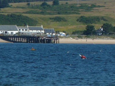 Nigg to Cromarty swim