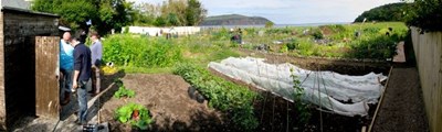 The Cromarty Allotments shed goes up.