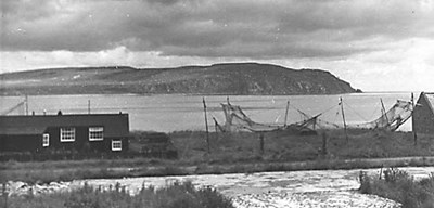 Salmon Nets on Links from Braehead