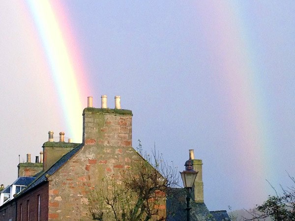 Close-up of Rainbow 