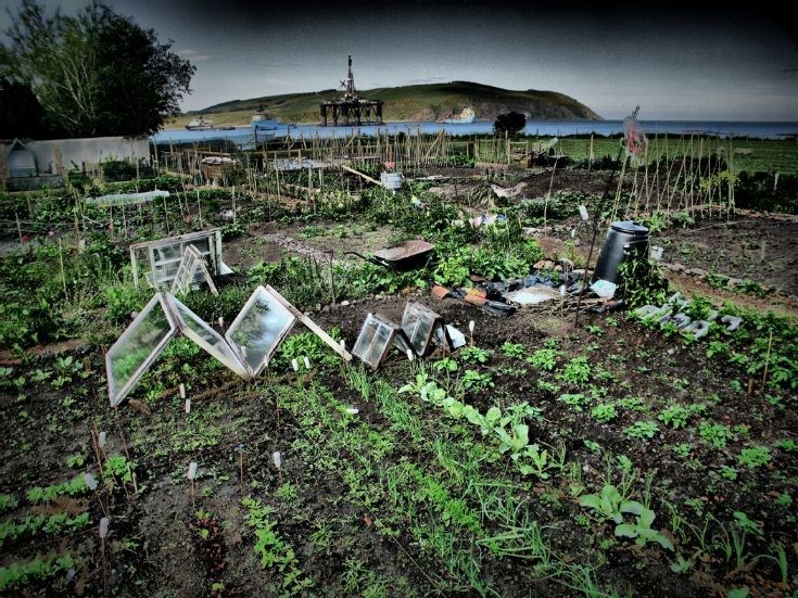 How many other allotments enjoy a view like this?