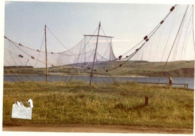 Salmon Fishing net drying in the sun. summer 1973.