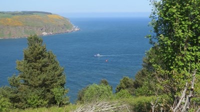 Renfrew Rose enters the Cromarty Firth