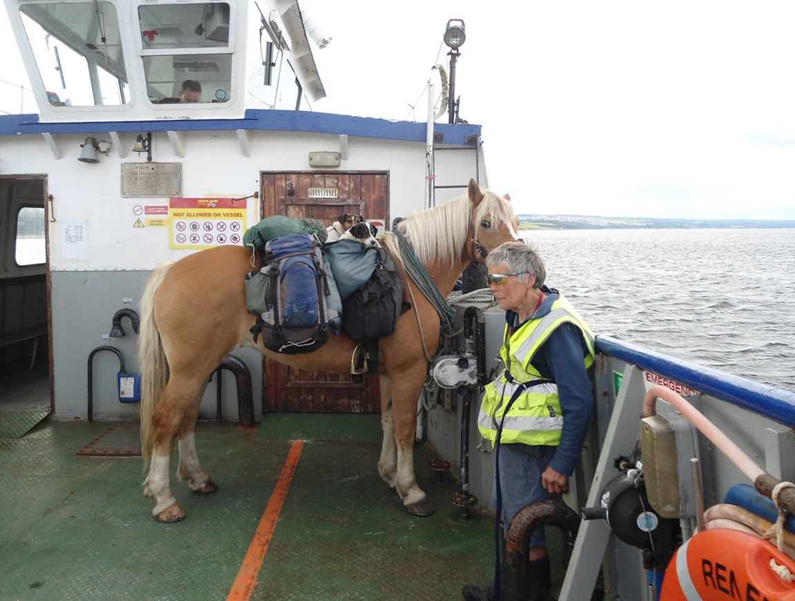 Horse on the Ferry