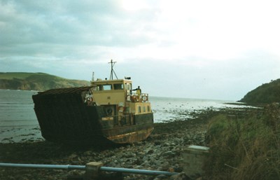 Cromarty Rose on the shore - Oct 1992