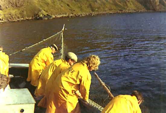 Fisherman pulling in the nets