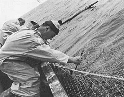 Salmon Fishing 1969