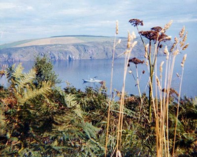 Cromarty Firth Survey