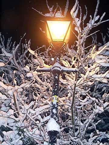 Light and Snow in Church Street