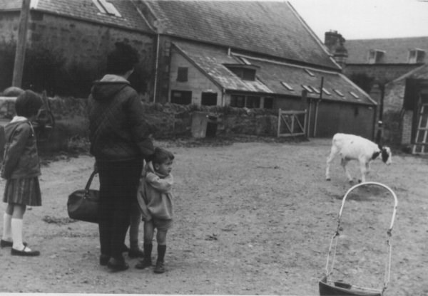 Victoria Hall and Townlands Farm