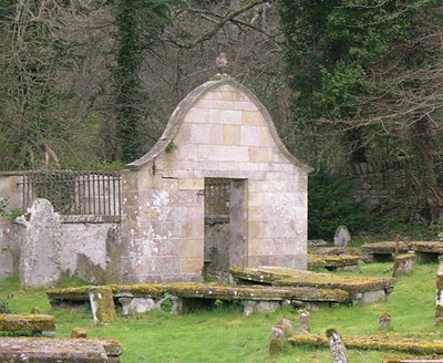 Hawk in the East Church yard.