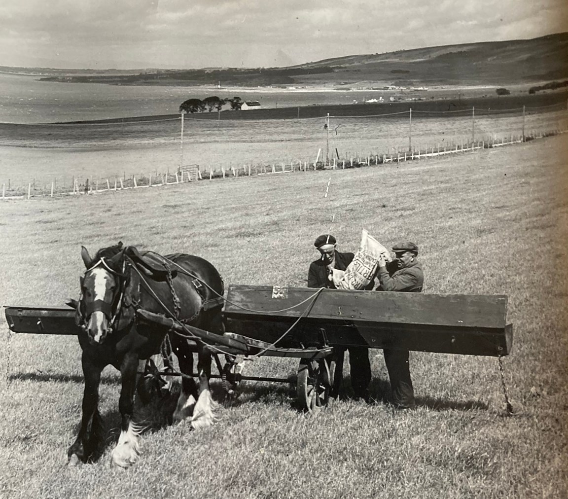 Rosefarm looking to Nigg.