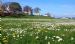 Beautiful Spring Day