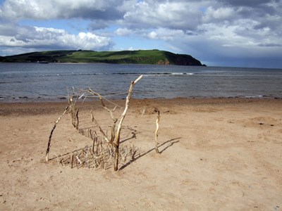 Sand sculpture on Cromarty Links beach