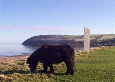 Shetland Pony on the Links - 2003