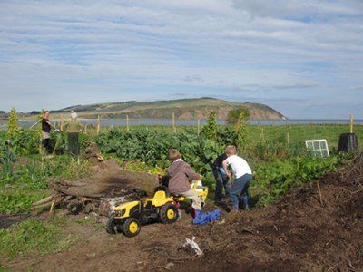 Cromarty Allotments Shed - Great to see the kids getting involved