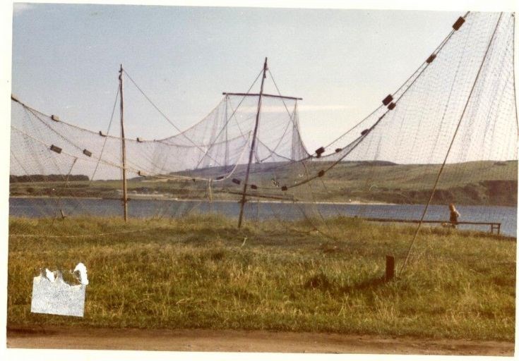 Salmon Fishing net drying in the sun. summer 1973. - Cromarty Archive