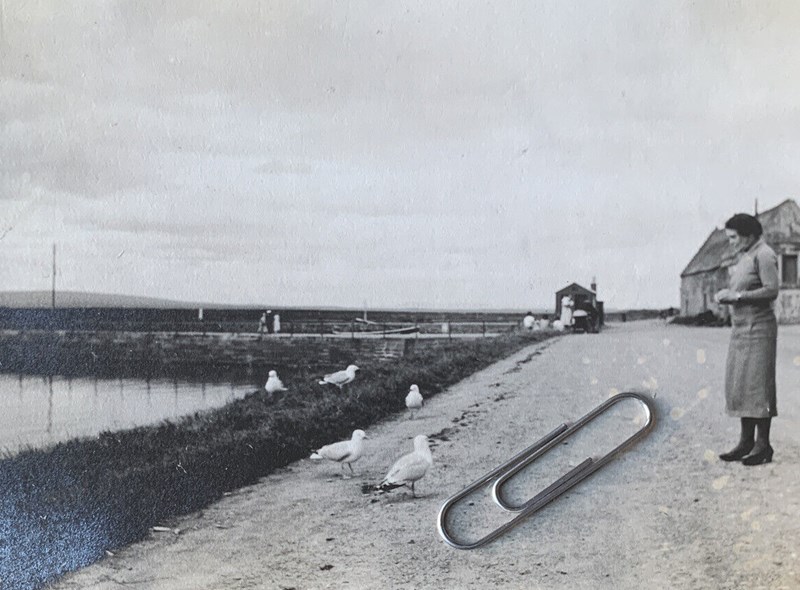 Photo of a woman feeding gulls in front of the Royal Hotel
