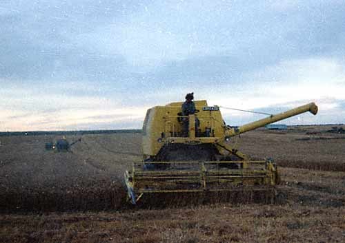 Harvester being used at Eathie farm