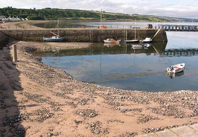 Newly dredged harbour at low tide